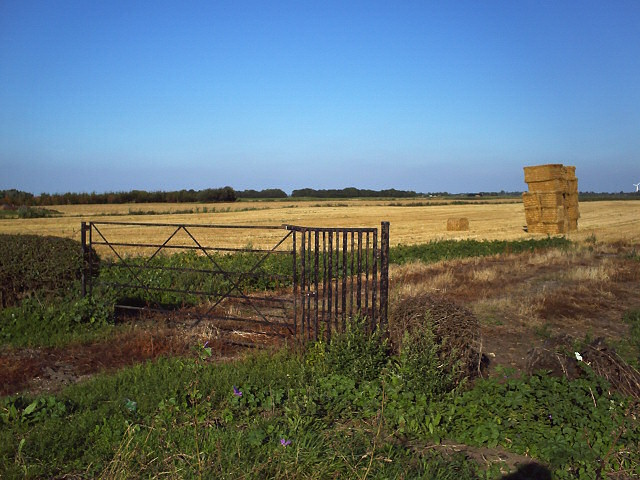 Gate and fields
