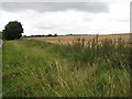 Fields near Market Drayton