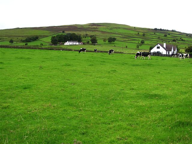 Aughaboy Townland