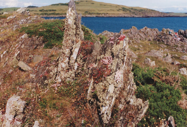 Lichen-covered rocks, Brighouse bay