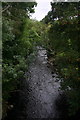 River Fleet from bridge near Rovie Farm