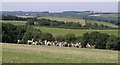 Deer at Keyethern Farm