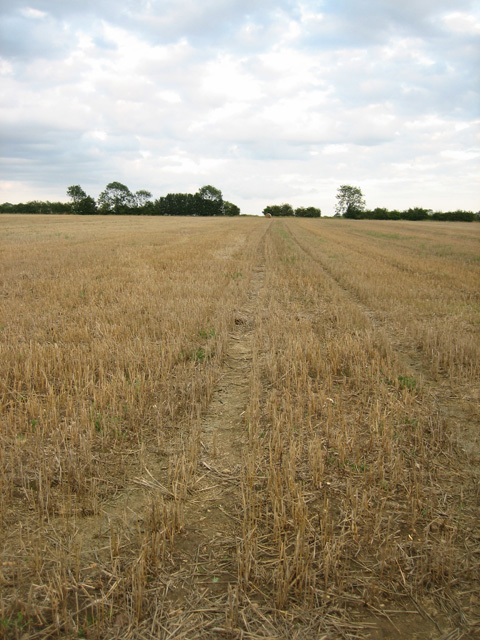 Cross-field path or tractor tracks?