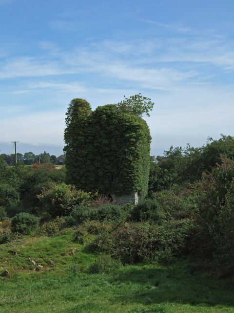 Castles of Munster: Derryleamleary, Cork (2)