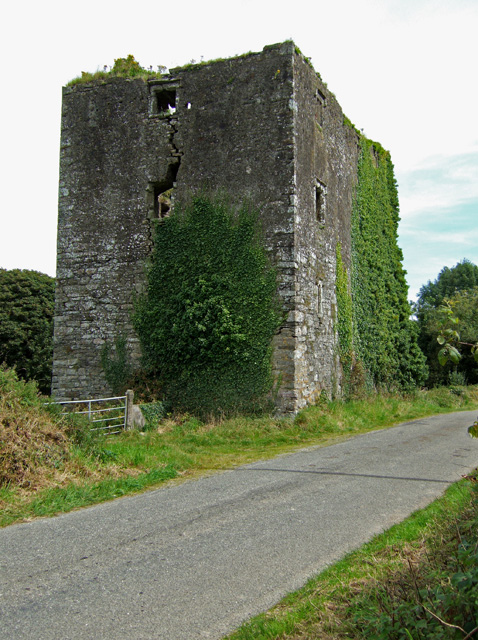 Castles of Munster: Ballinoroher, Co. Cork (2)
