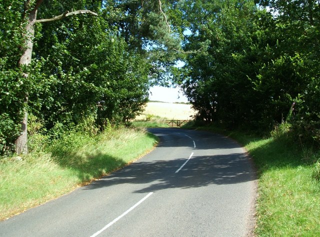 Road towards Muir o'Lea