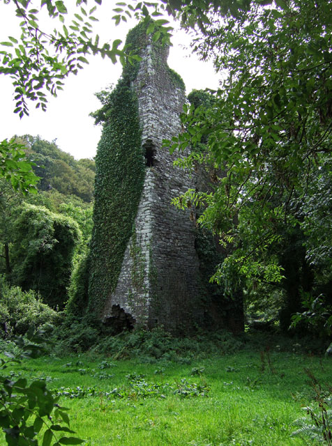 Castles of Munster: Downdaniel, Cork