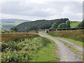 Cattle grid near Springhill