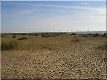 TG5307 : The sand dunes  and wind turbines off Scroby Sands by Carol Rose