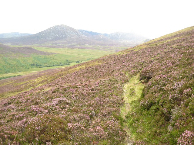 Track below Meall an Daimh