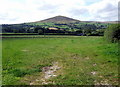 Field below Foel Drygarn