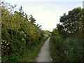 Footpath between Radipole Lake and the A354