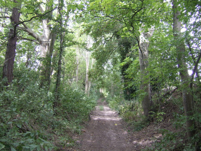 Imber Range Perimeter Path © Jonathan Billinger Cc-by-sa 2.0 