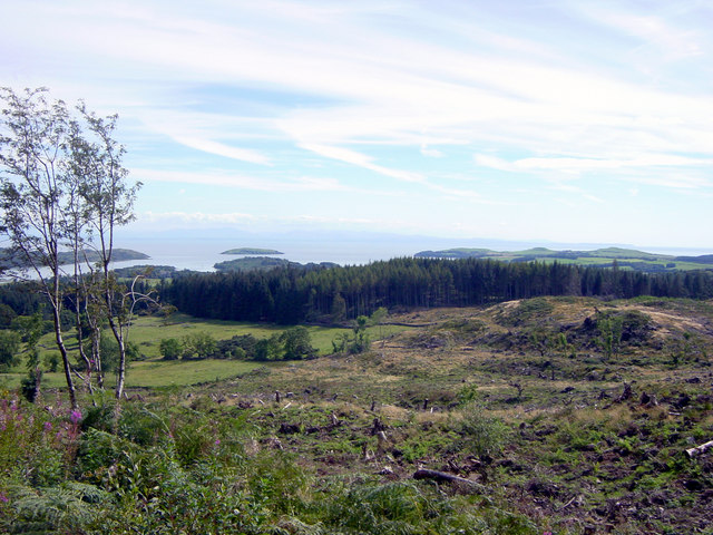 View to South East across Solway Firth from forest track to Screel