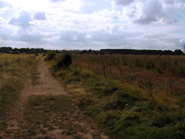 Path through field, Clipstone
