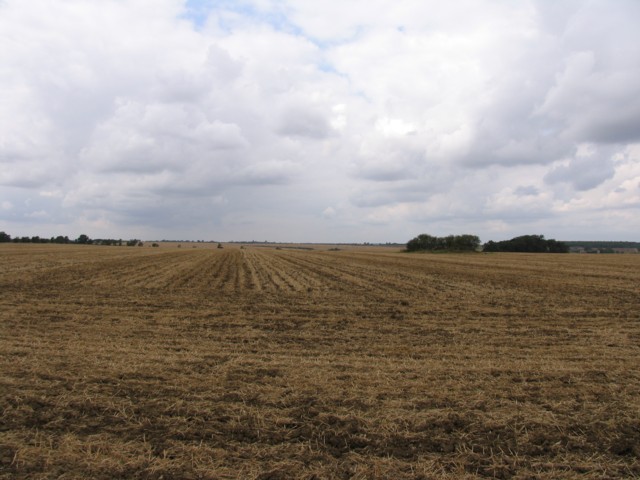 Fields to the north west