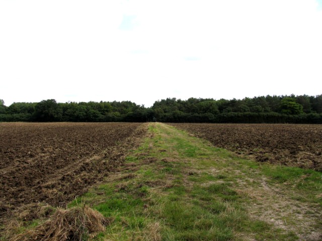 Coppingford Wood