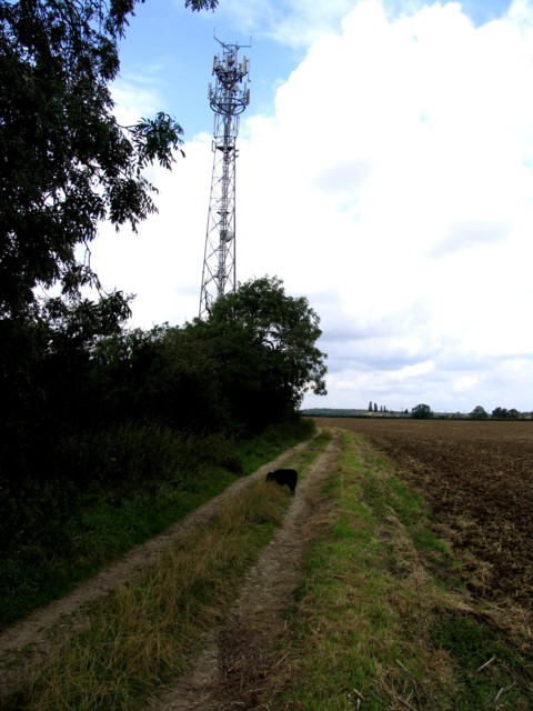 Mobile telephone mast and fields