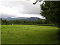 View to Conic Hill from Gartochraggan