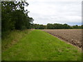 Wild field margin which also serves as a public footpath