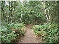 Bridlepath on The Cliffe