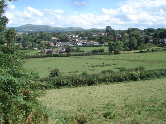 Footpath to Ffridd Faldwyn © Trevor Rickard :: Geograph Britain and Ireland