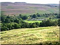 Midgy Ha Farm in the valley of the Grasslees Burn