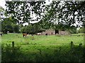 Military training building used by suckler cows