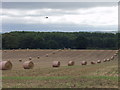 Farm boy! get those bales in line