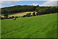 Large hay bales near Fachwen