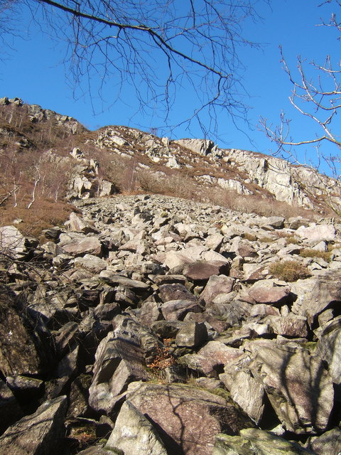 Looking up the steep screes of Wallowbarrow Gorge