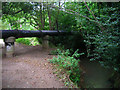 Sewer Pipes, Scrase Valley Nature Reserve