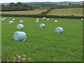 Baled crop at Chaxhill