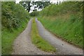 The Brickland Road near Loughbrickland (1)