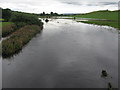 Swollen Black Cart Water