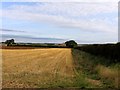 Welby Pastures Farm from the western side of the hedge