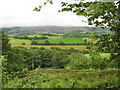 Farmland below Llwyn-y-sarn