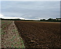 Grateley - Open Farmland