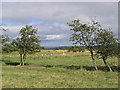 Farmland south of St Margaret