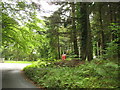 Approaching the Capel Hermon T-junction from the North