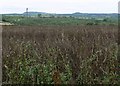 Leicestershire countryside