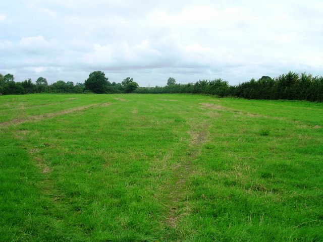 Babcary Meadows