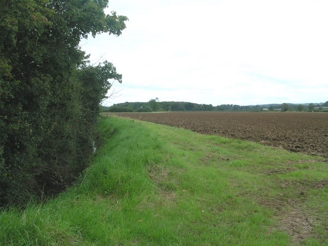 View along Dyke Brook towards Yarcombe Wood