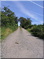 A road leading to Auchenroddan Forest