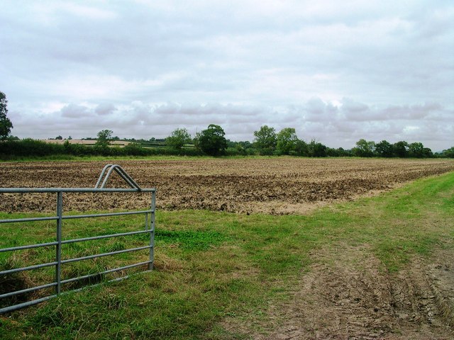 Field view west of Newland's Lane
