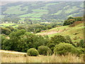 View downslope in the direction of the outbuildings of Hafod Feredydd Farm