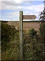 Blackberries surround the signpost