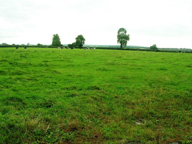 Westerly view across farmland towards Babcary