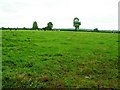 Westerly view across farmland towards Babcary