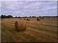 Round Bales in front of Pear Tree Cottage Farm